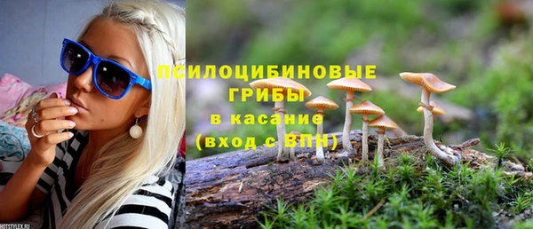 ГАЛЛЮЦИНОГЕННЫЕ ГРИБЫ Алзамай