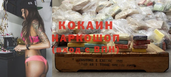 кокс Алексин