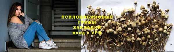 ГАЛЛЮЦИНОГЕННЫЕ ГРИБЫ Алзамай