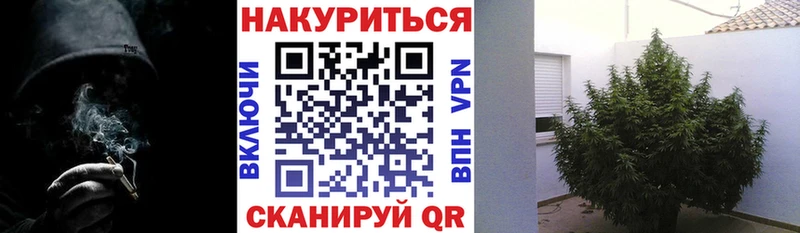 Каннабис сатива МЕГА зеркало Дудинка где найти